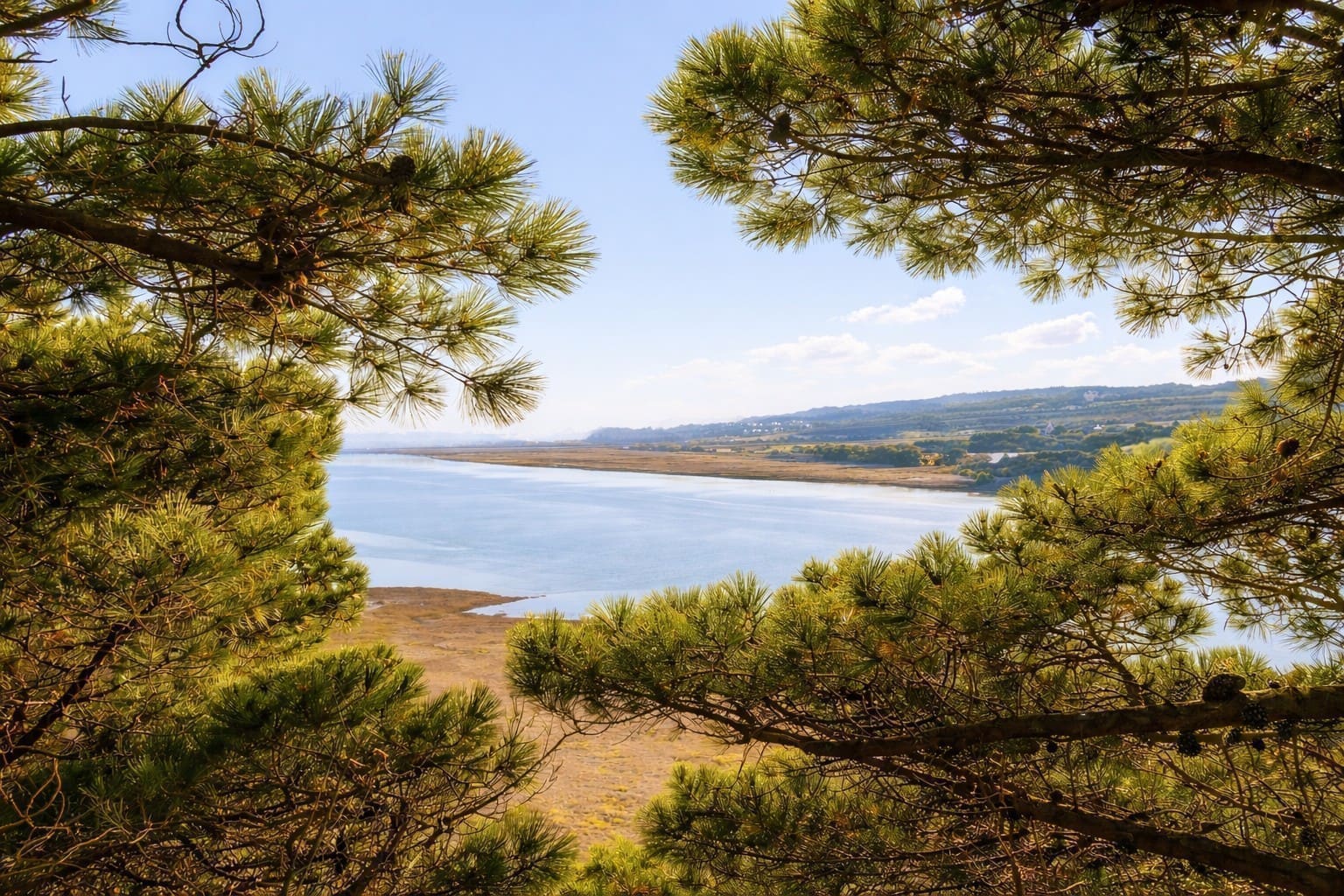 Arboriste en intervention dans les arbres